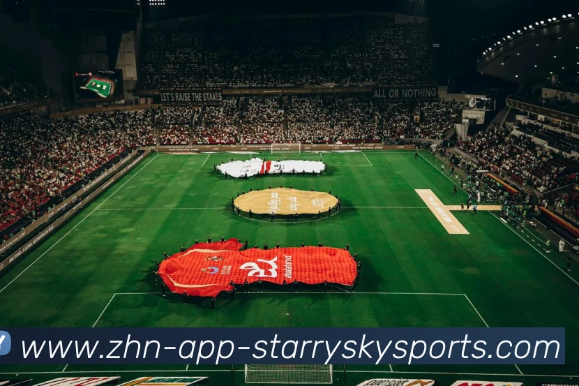 星空体育平台生态图