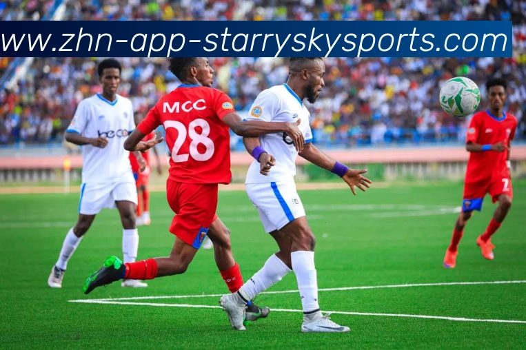 星空体育APP 封面图